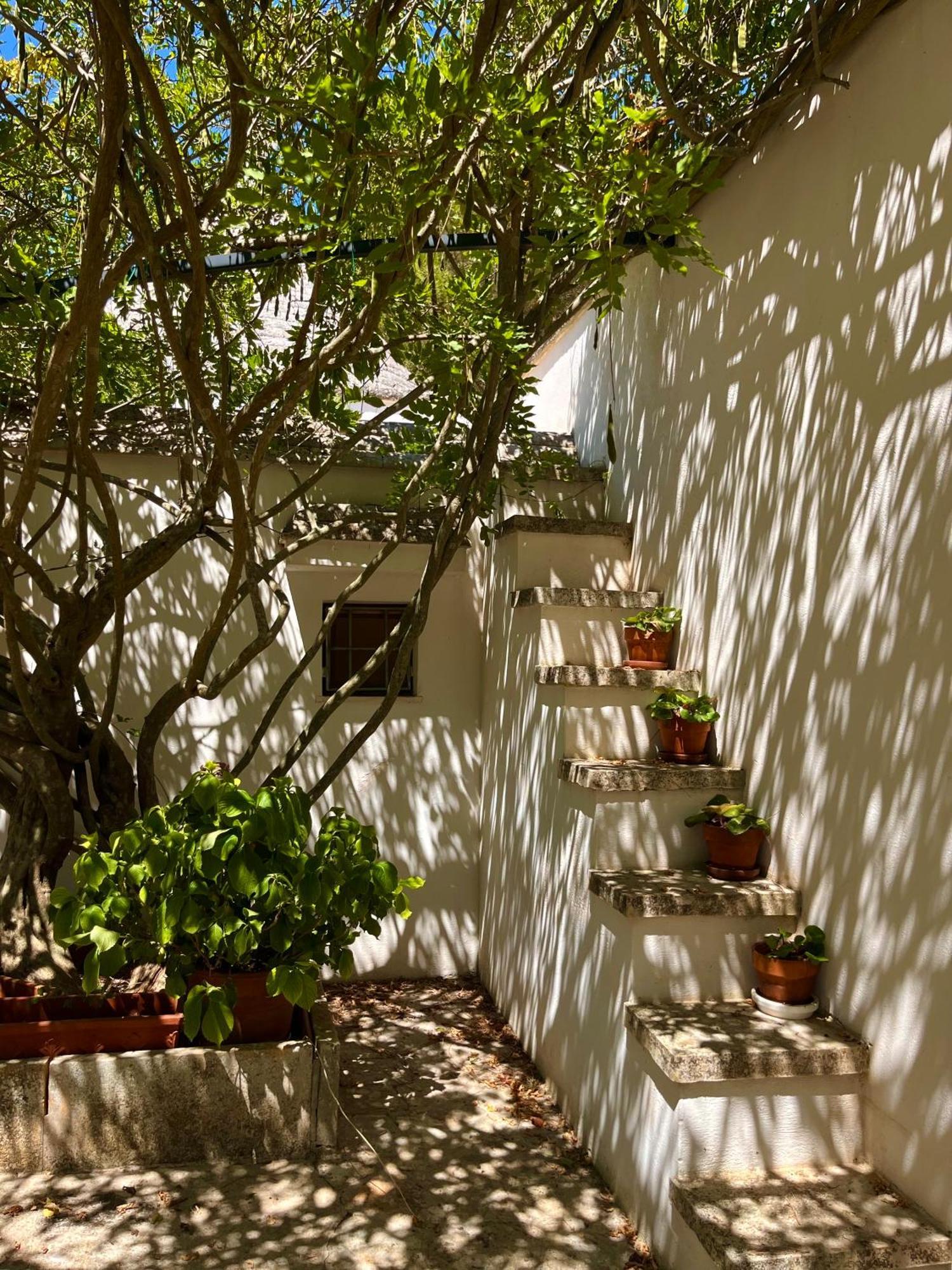I Trulli Della Naturabio Martina Franca