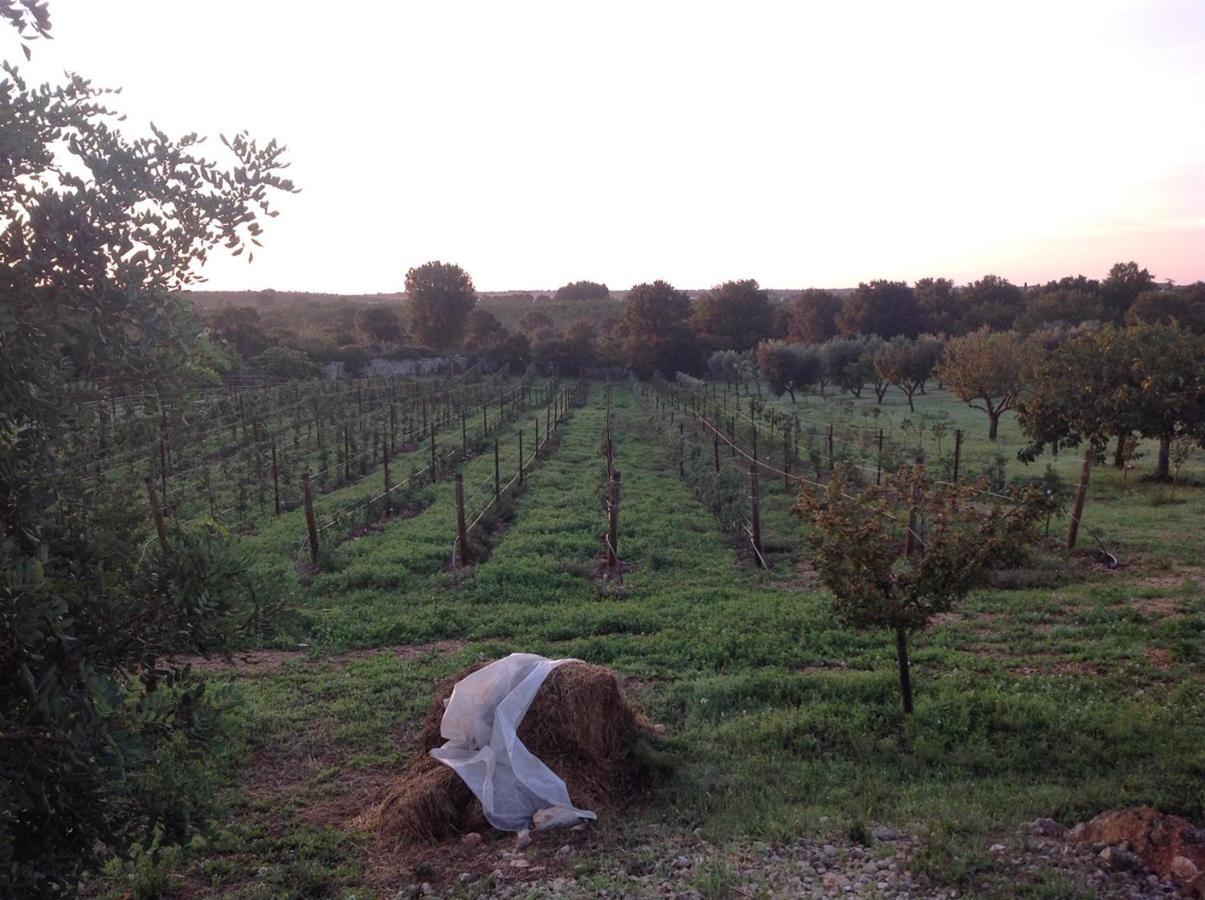 I Trulli Della Naturabio Casa de Campo